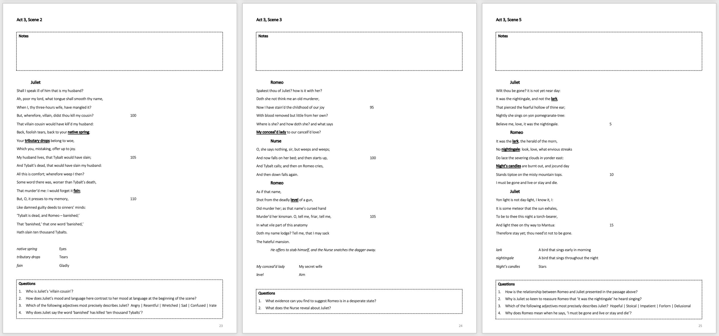 GCSE English Literature: Romeo and Juliet Study Booklet | KS4 Teaching